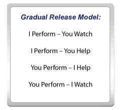 GradualReleaseModel