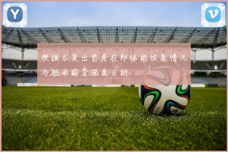 樊振东复出首秀在即体能恢复情况与胜率前景深度分析